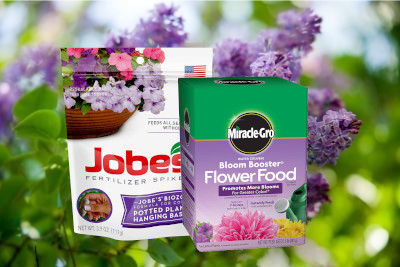 Best Lilac Fertilizer