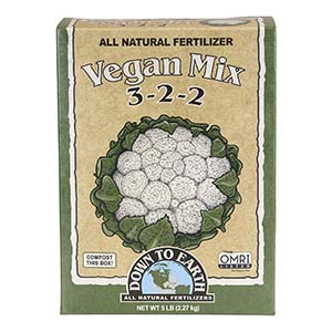 Best Raspberry Fertilizers