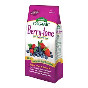 Best Raspberry Fertilizer