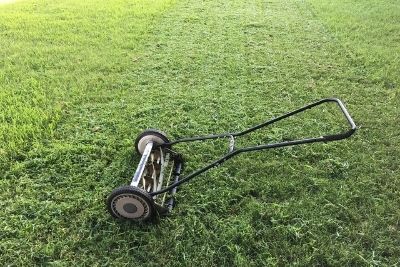 How To Make Centipede Grass Spread & Thicker