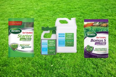 best fertilizer for zoysia grass
