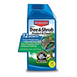 BioAdvanced Systemic Plant Fertilizer and Insecticide 2-1-1