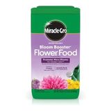 Best Plumeria Fertilizers