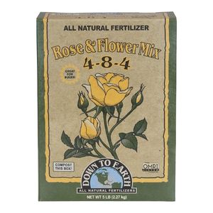 Fertilizer for Magnolia Trees