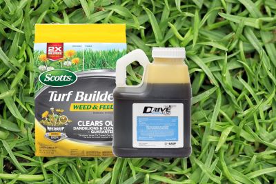Best Weed Killers for Bermuda Grass_,main