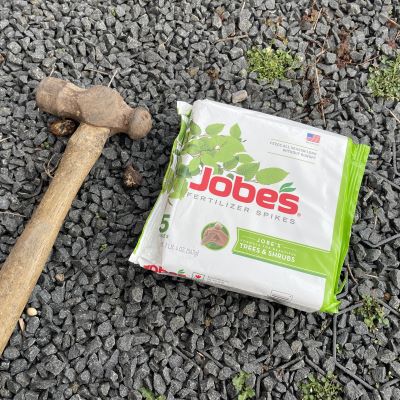 Jobes tree spikes and a hammer