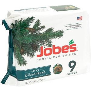 4. Jobe’s Evergreen Fertilizer Spikes