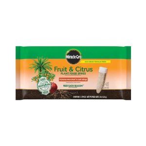 5. Miracle-Gro Fruit & Citrus Plant Food Spikes 15-5-10