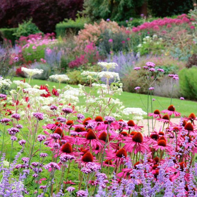 Create Cohesive Borders