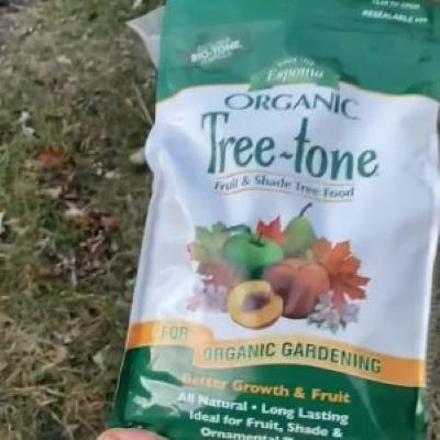 Espoma Tree Tone is a classic