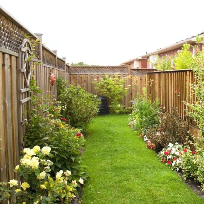 Paint A Dark Fence Backdrop