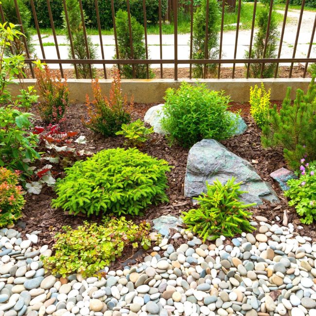 Untitled design 54 min