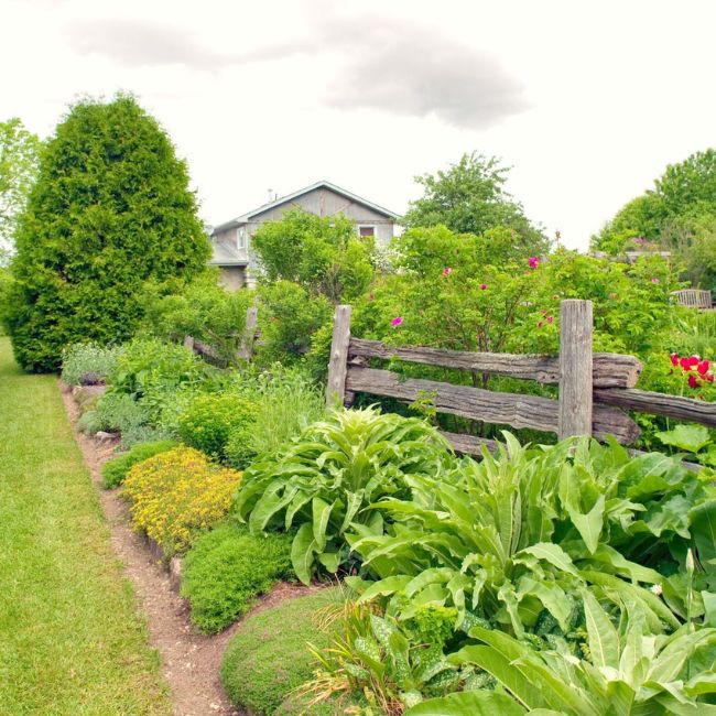 Untitled design 60 min