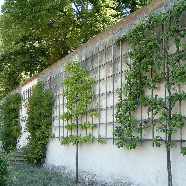 Untitled design 63 min