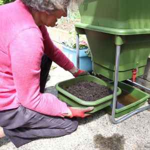 harvest worm castings
