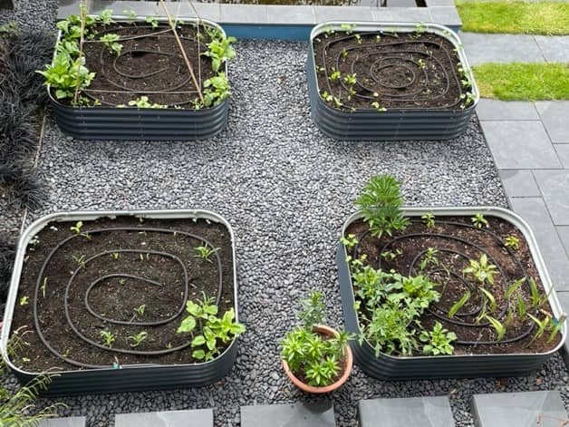metal raised beds