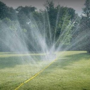 sprinkler hose.
