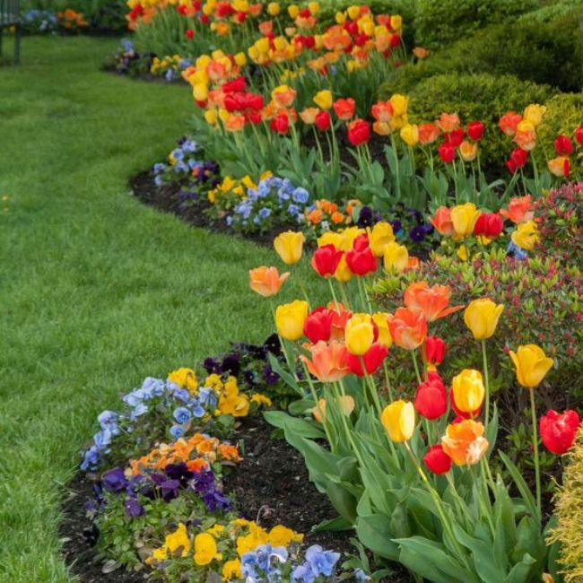 A Spectacular Spring Show