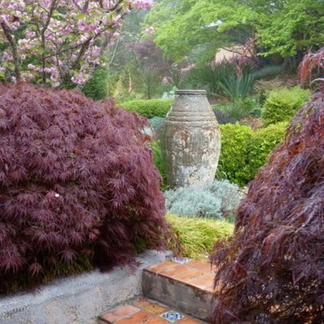 A Zen Boxwood Garden