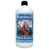 Best Fertilizers for Money Trees