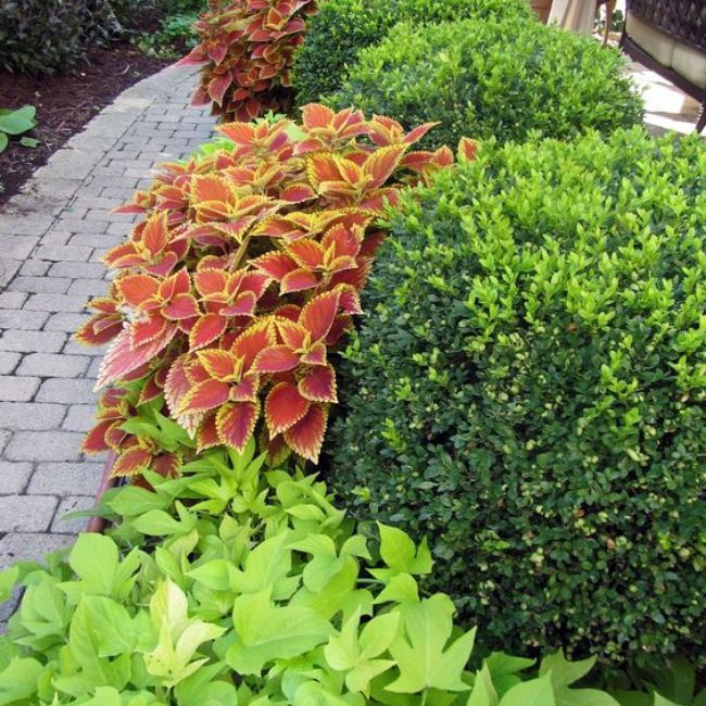 Cozying Up With Color