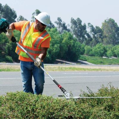 adjustable head hedge trimmer.