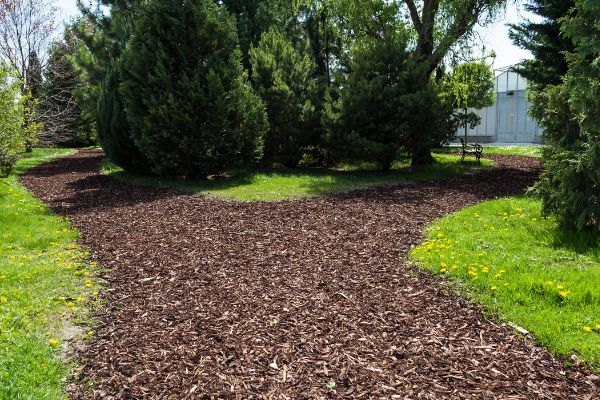 wood chips on paths
