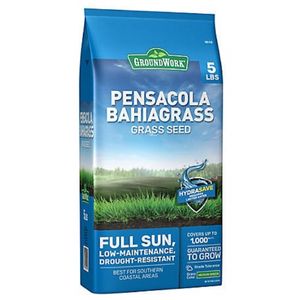 12. GroundWork Pensacola Bahiagrass Grass Seed
