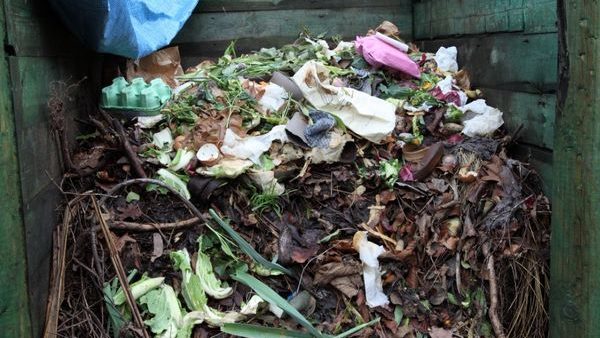 Compost Bins and Rubbish
