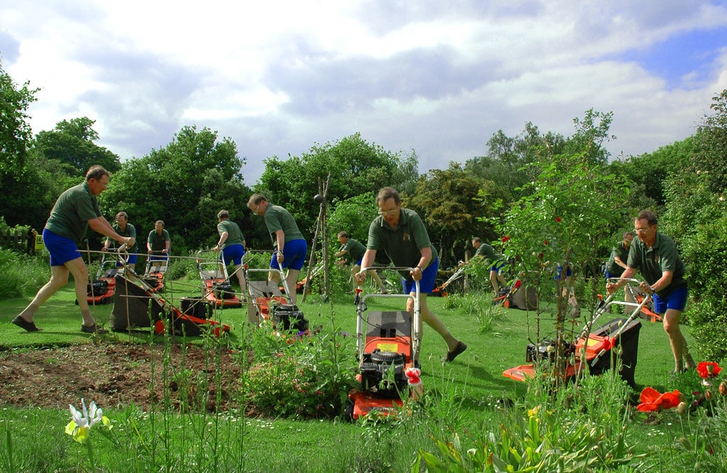 Mow Your Lawn