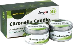 citronella candle