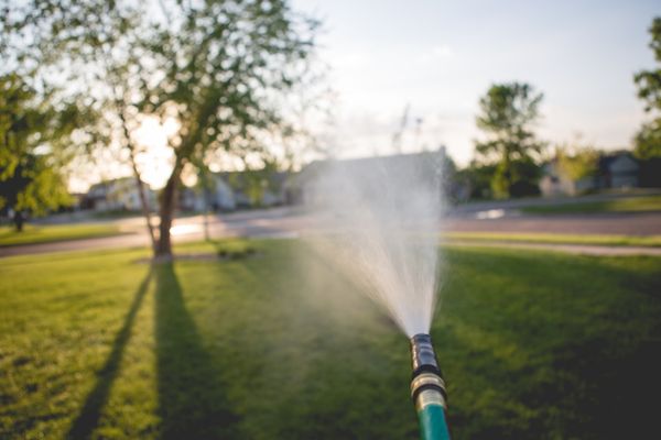 watering lawn
