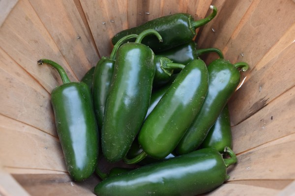 green serrano peppers
