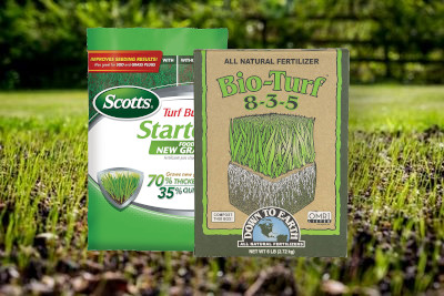 Best Fertilizers For New Grass