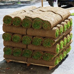 Pallet of sod rolls