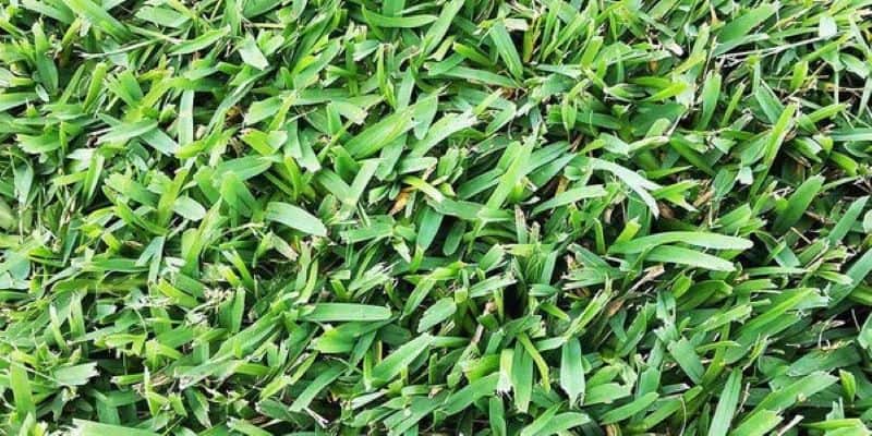 St. Augustine Seville