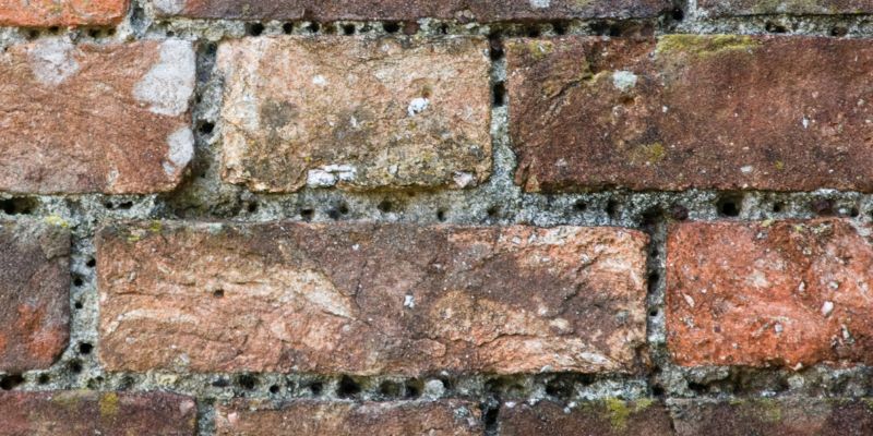 Signs of Bees in Walls