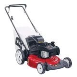 Toro Recycler Gas 21" Mower