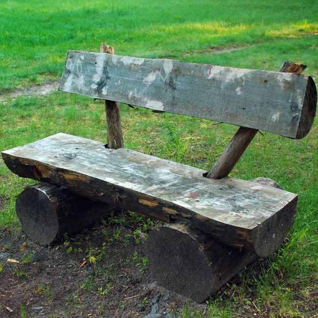 bench made from tree stumps