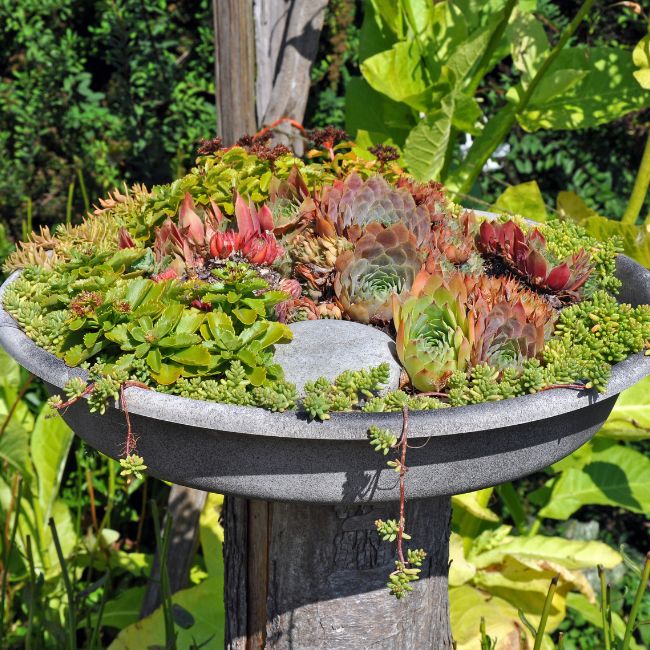 tree stump pot stand