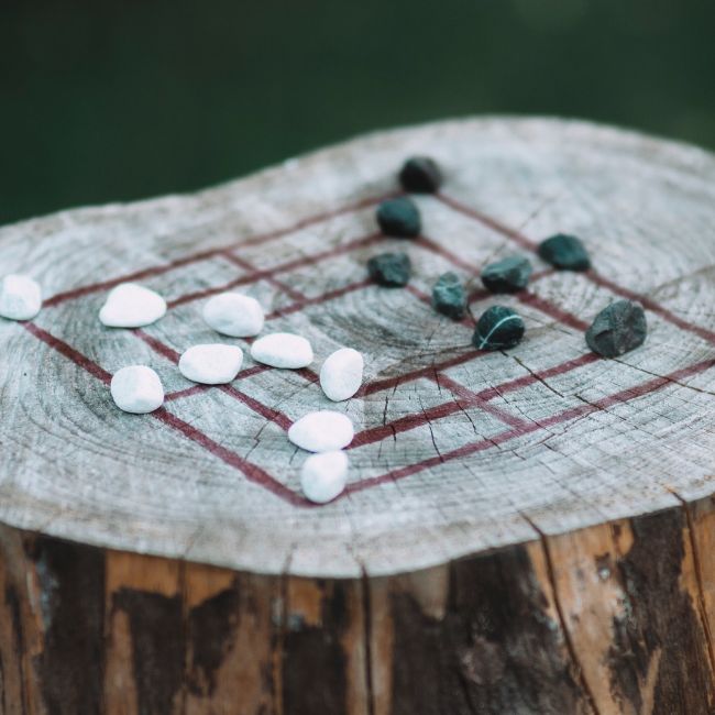tree stump table top game
