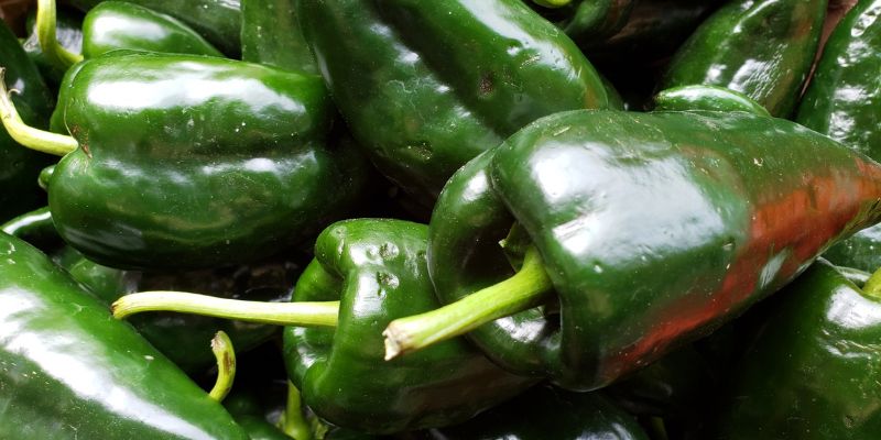 Anaheim Green Peppers