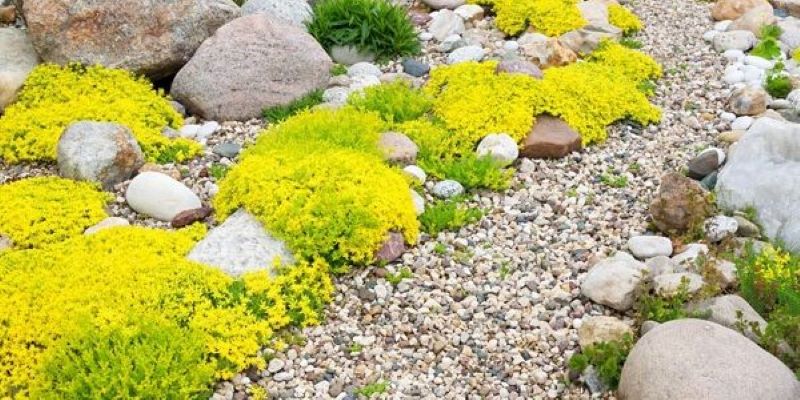 Gravel-or-Rocks-instead-of-landscape-fabric.