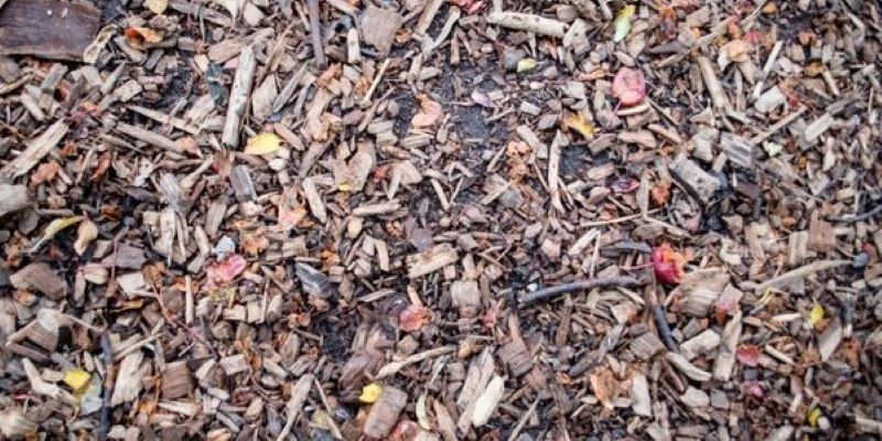 Woodchips.