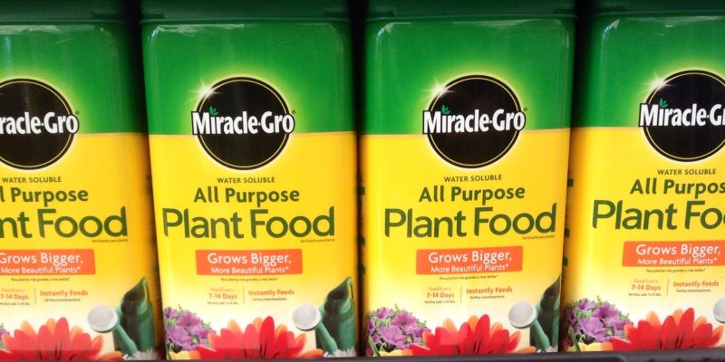 does miracle-gro expire or go bad