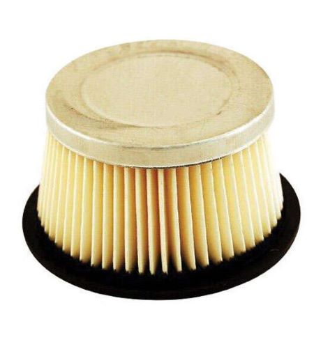 Oil In Your Lawn Mower Air Filter