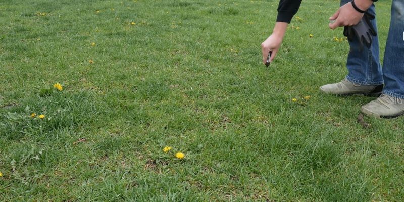 Testing soil moisture levels