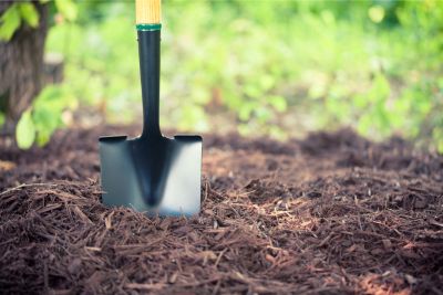 Best Garden Shovels and Spades