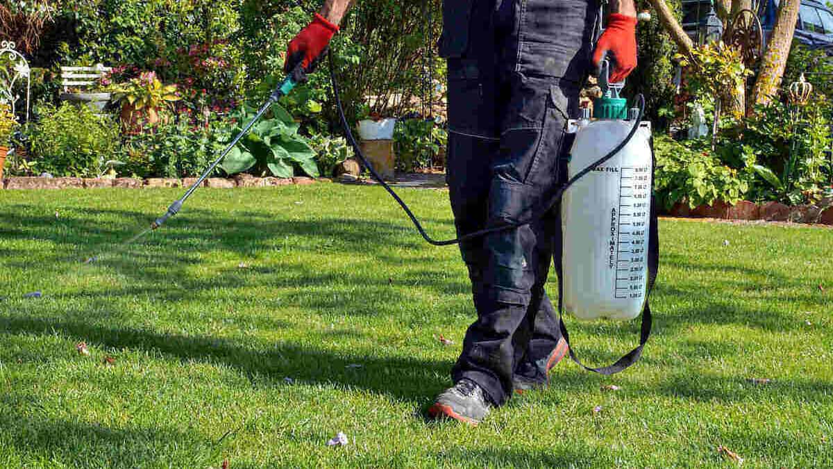 2-4-D Amine Mix Ratio