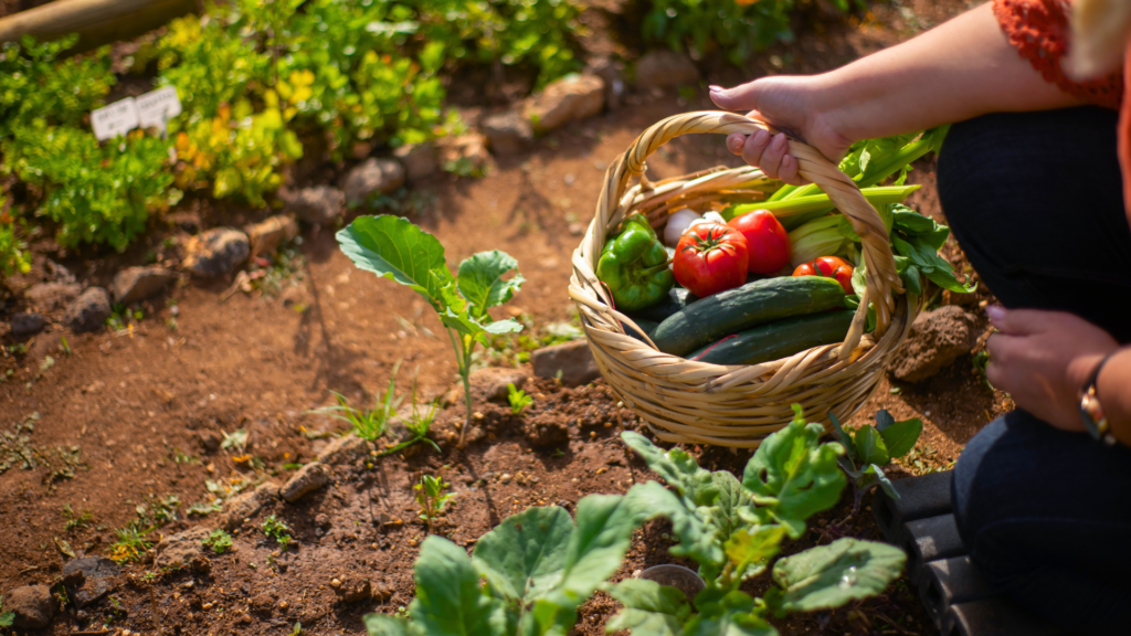 best companion plants